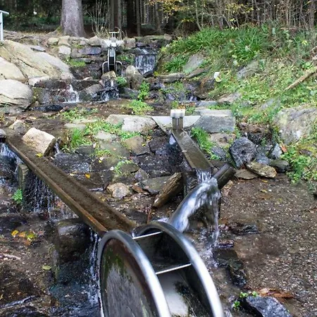 Erzgebirgsidyll Breitenbrunn - Waldhaus *