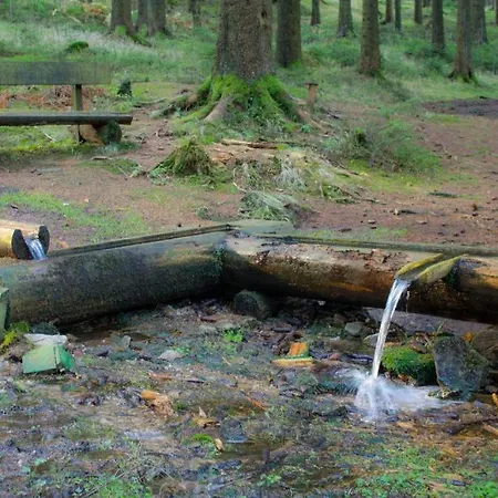 Дом отдыха Erzgebirgsidyll Breitenbrunn - Waldhaus