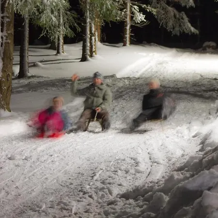 Дом отдыха Erzgebirgsidyll Breitenbrunn - Waldhaus Neuer Anbau