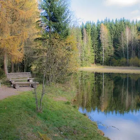 Дом отдыха Erzgebirgsidyll Breitenbrunn - Waldhaus *