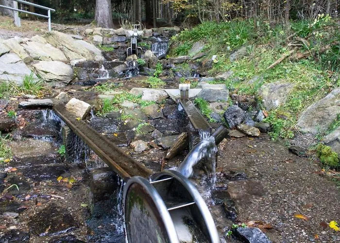 Erzgebirgsidyll Breitenbrunn - Waldhaus *