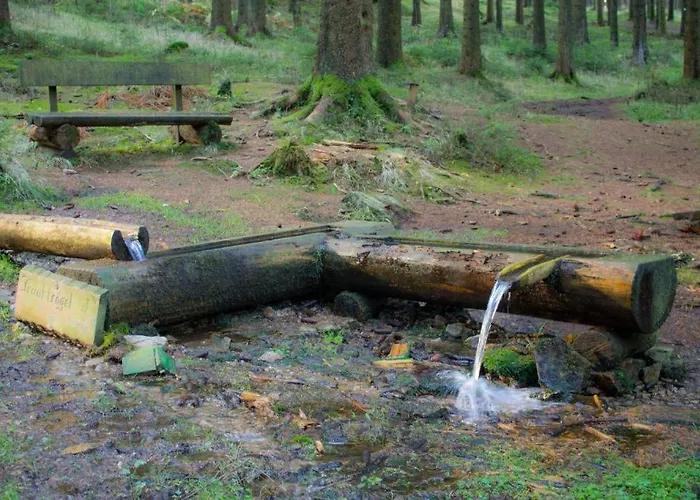 度假居 Erzgebirgsidyll Breitenbrunn - Waldhaus