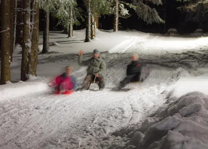度假居 Erzgebirgsidyll Breitenbrunn - Waldhaus Neuer Anbau