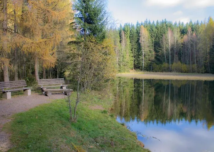 度假居 Erzgebirgsidyll Breitenbrunn - Waldhaus *